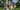 THE BEST HOUSE PLANS FOR RETIREES LOOKING TO DOWNSIZE