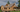 Top 10 Waterfront House Plans for Lakeside Living